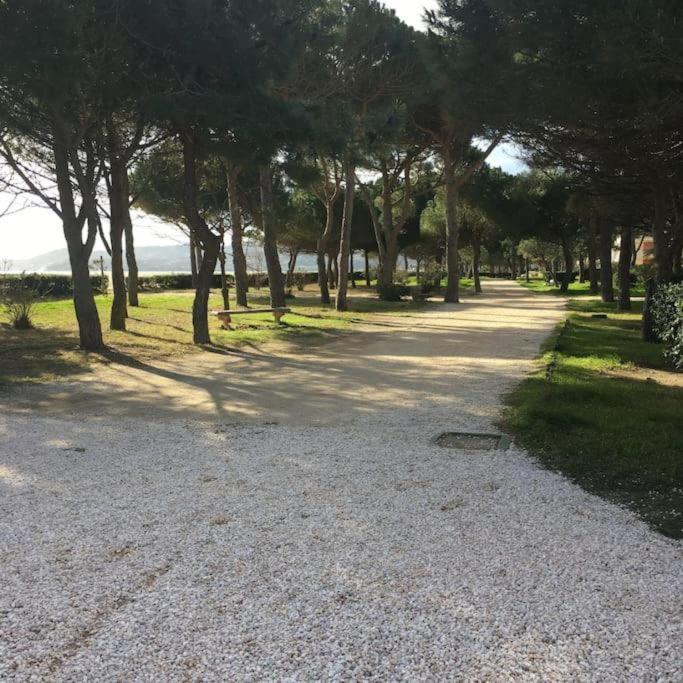 F3 Classe Meuble Tourisme "Gites De France" A 80 Metres De La Plage Argeles-sur-Mer Luaran gambar